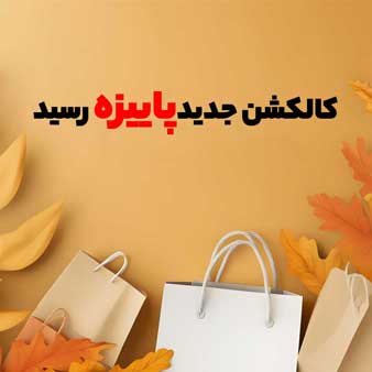 شرکت پیشگام رایان ارائه دهنده راهکارهای یکپارچه پیامکی و ارسال هوشمند LBA